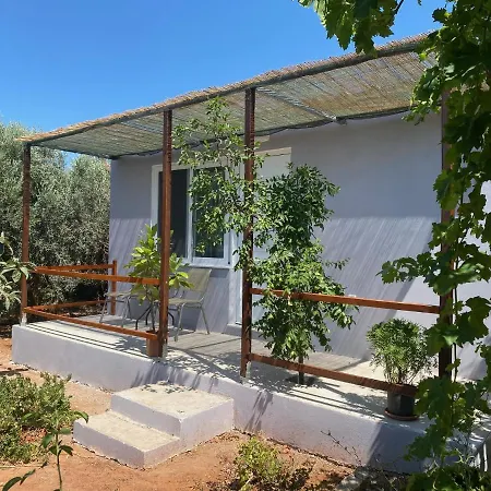 Vine Veranda Apartment Palaiochora