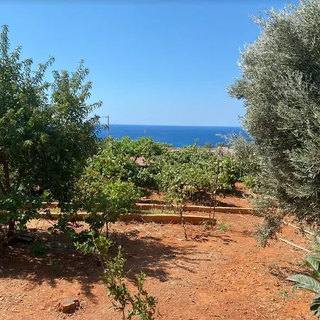Vine Veranda Palaiochora